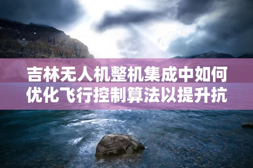 吉林无人机整机集成中如何优化飞行控制算法以提升抗风性能？