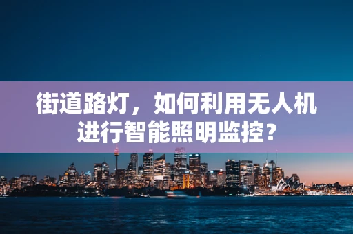 街道路灯，如何利用无人机进行智能照明监控？