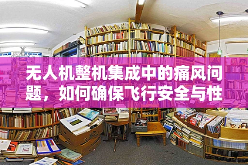 无人机整机集成中的痛风问题，如何确保飞行安全与性能？