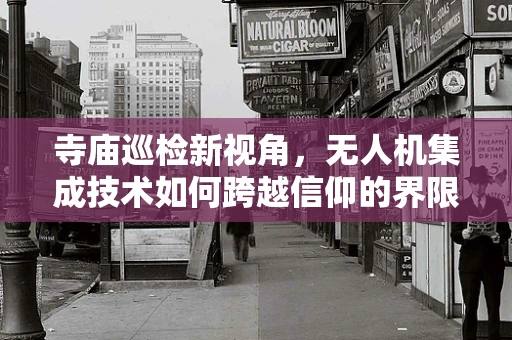 寺庙巡检新视角，无人机集成技术如何跨越信仰的界限？