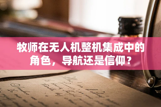牧师在无人机整机集成中的角色，导航还是信仰？