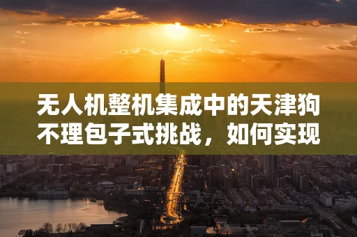 无人机整机集成中的天津狗不理包子式挑战，如何实现精准取放？