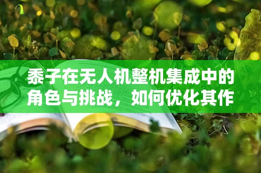 黍子在无人机整机集成中的角色与挑战，如何优化其作为轻质材料的运用？