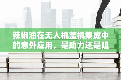 辣椒油在无人机整机集成中的意外应用，是助力还是阻力？