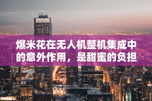 爆米花在无人机整机集成中的意外作用，是甜蜜的负担还是创新的火花？