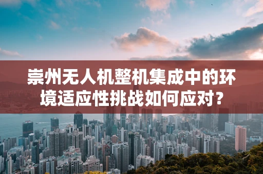崇州无人机整机集成中的环境适应性挑战如何应对？