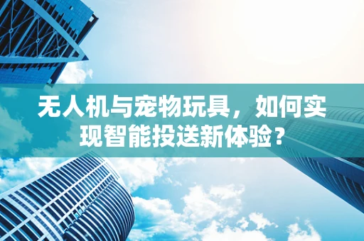 无人机与宠物玩具，如何实现智能投送新体验？