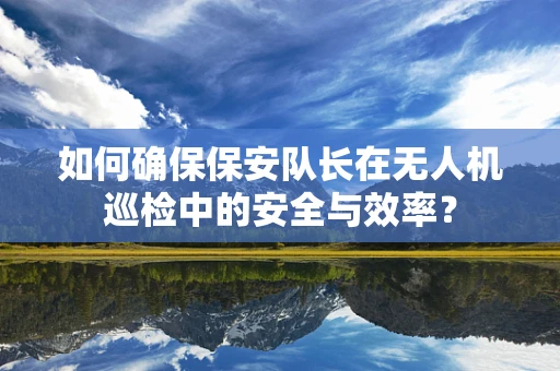 如何确保保安队长在无人机巡检中的安全与效率？