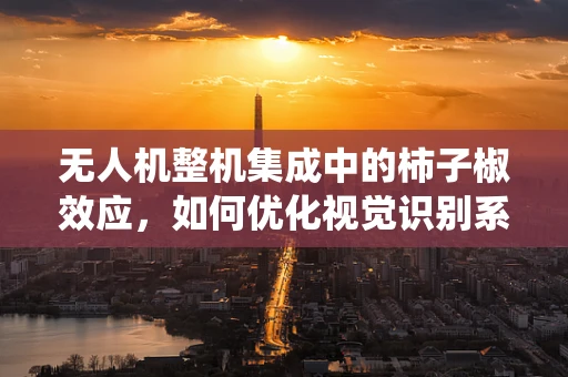 无人机整机集成中的柿子椒效应，如何优化视觉识别系统？
