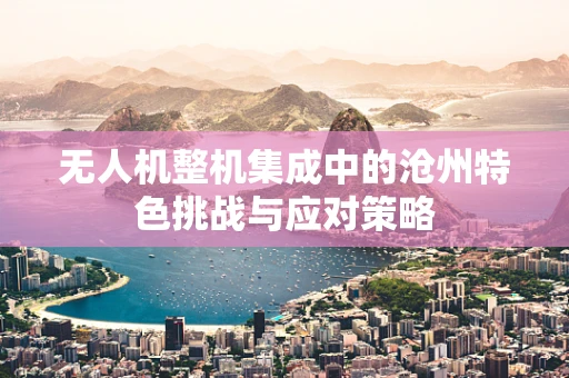 无人机整机集成中的沧州特色挑战与应对策略