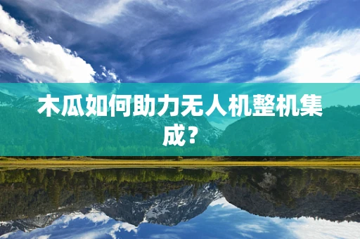木瓜如何助力无人机整机集成？