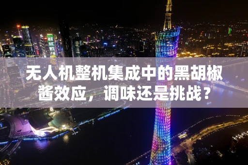 无人机整机集成中的黑胡椒酱效应，调味还是挑战？