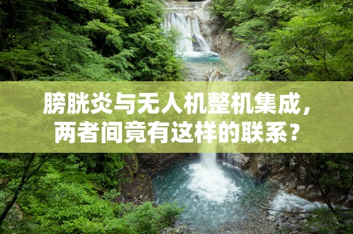 膀胱炎与无人机整机集成，两者间竟有这样的联系？