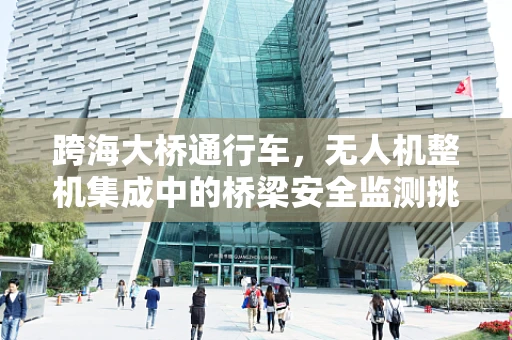 跨海大桥通行车，无人机整机集成中的桥梁安全监测挑战