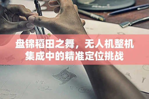 盘锦稻田之舞，无人机整机集成中的精准定位挑战