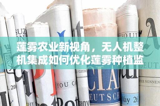 莲雾农业新视角，无人机整机集成如何优化莲雾种植监测？