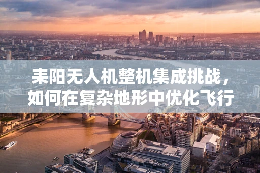耒阳无人机整机集成挑战，如何在复杂地形中优化飞行性能？