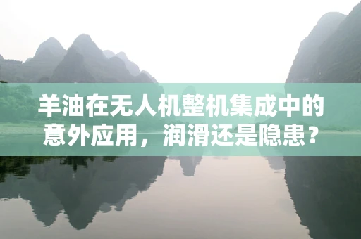 羊油在无人机整机集成中的意外应用，润滑还是隐患？