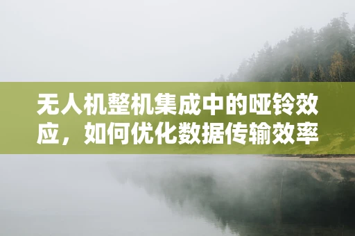 无人机整机集成中的哑铃效应，如何优化数据传输效率？