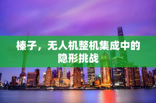 榛子，无人机整机集成中的隐形挑战