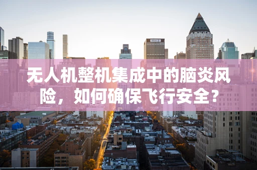 无人机整机集成中的脑炎风险，如何确保飞行安全？