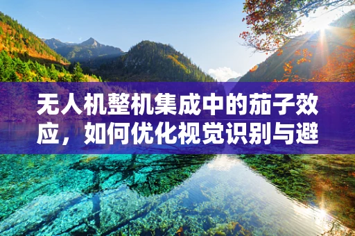 无人机整机集成中的茄子效应，如何优化视觉识别与避障？