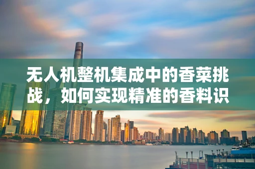 无人机整机集成中的香菜挑战，如何实现精准的香料识别与避障？