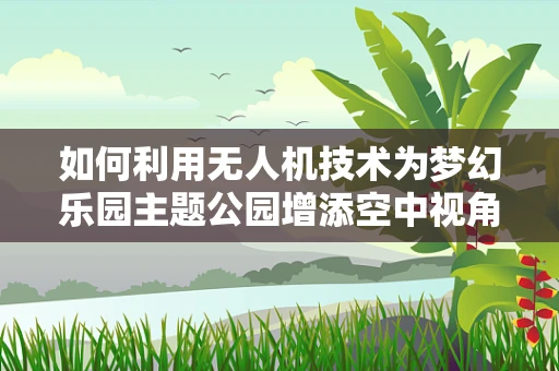 如何利用无人机技术为梦幻乐园主题公园增添空中视角的魅力？