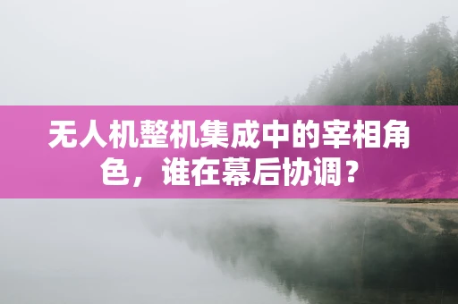 无人机整机集成中的宰相角色，谁在幕后协调？