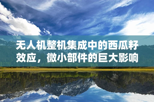 无人机整机集成中的西瓜籽效应，微小部件的巨大影响？