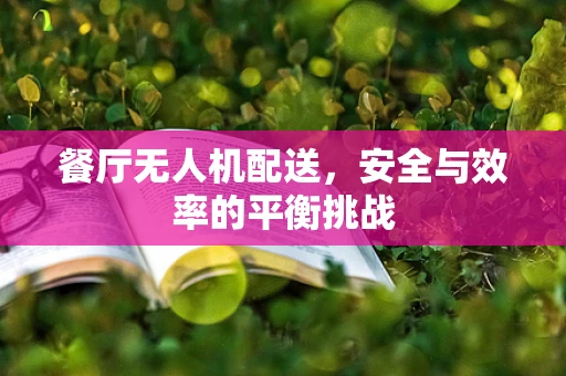 餐厅无人机配送，安全与效率的平衡挑战