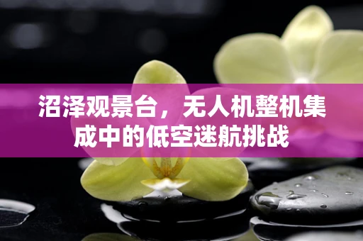 沼泽观景台，无人机整机集成中的低空迷航挑战