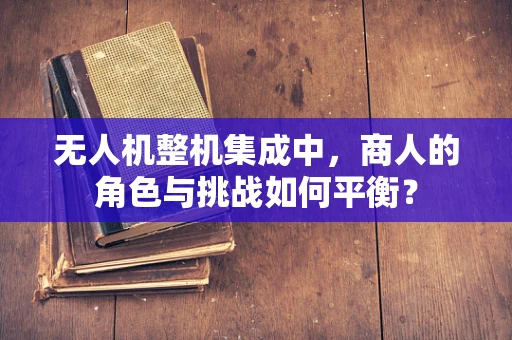 无人机整机集成中，商人的角色与挑战如何平衡？