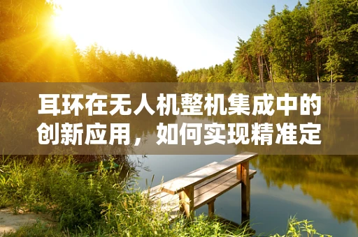 耳环在无人机整机集成中的创新应用，如何实现精准定位与安全监控？