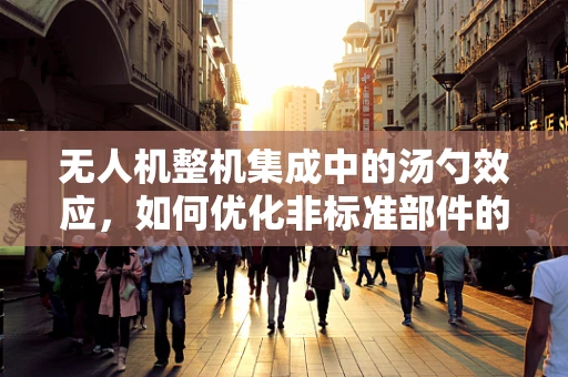 无人机整机集成中的汤勺效应，如何优化非标准部件的集成策略？