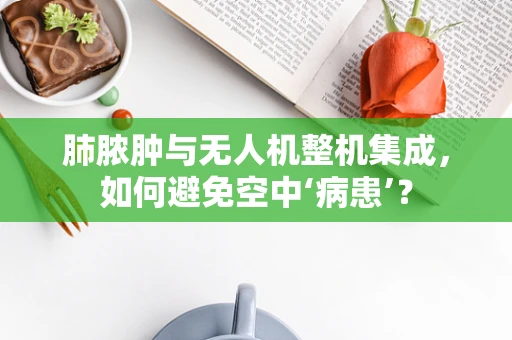 肺脓肿与无人机整机集成，如何避免空中‘病患’？