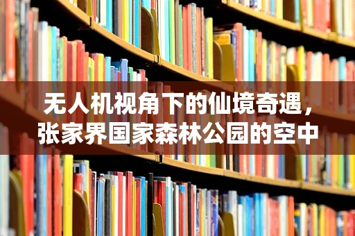 无人机视角下的仙境奇遇，张家界国家森林公园的空中集成挑战
