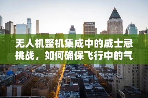 无人机整机集成中的威士忌挑战，如何确保飞行中的气味干扰？