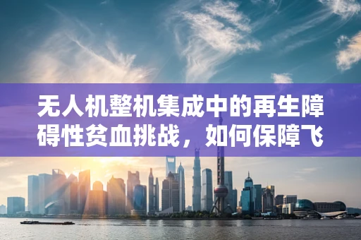 无人机整机集成中的再生障碍性贫血挑战，如何保障飞行安全与乘员健康？