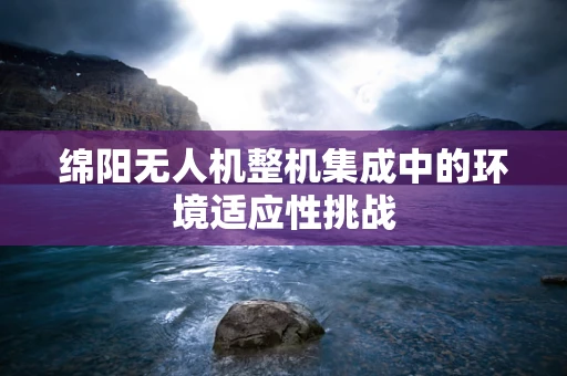 绵阳无人机整机集成中的环境适应性挑战