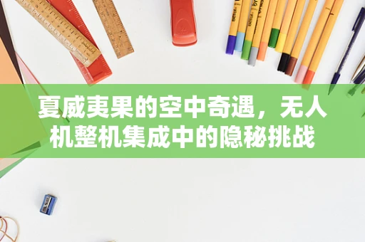 夏威夷果的空中奇遇，无人机整机集成中的隐秘挑战