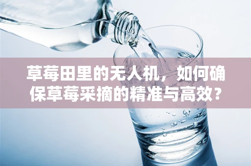 草莓田里的无人机，如何确保草莓采摘的精准与高效？