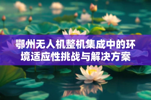鄂州无人机整机集成中的环境适应性挑战与解决方案