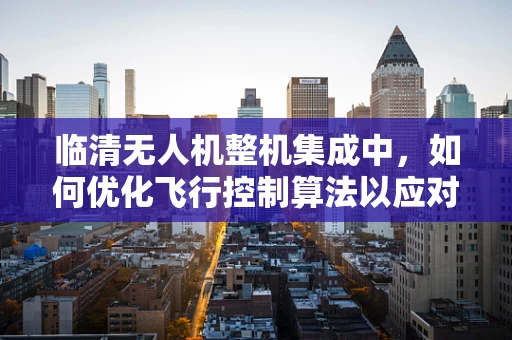 临清无人机整机集成中，如何优化飞行控制算法以应对复杂地形挑战？