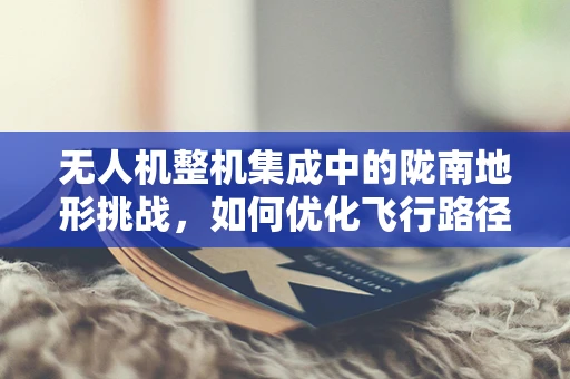 无人机整机集成中的陇南地形挑战，如何优化飞行路径与避障策略？