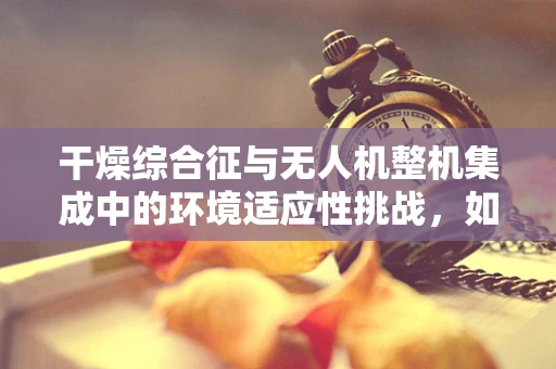 干燥综合征与无人机整机集成中的环境适应性挑战，如何确保飞行安全？
