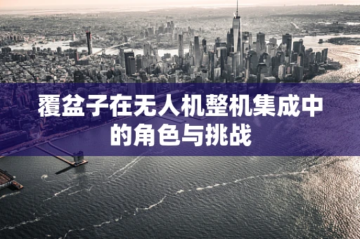 覆盆子在无人机整机集成中的角色与挑战