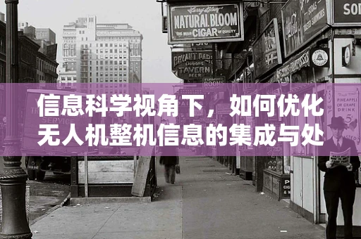 信息科学视角下，如何优化无人机整机信息的集成与处理？