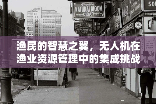 渔民的智慧之翼，无人机在渔业资源管理中的集成挑战