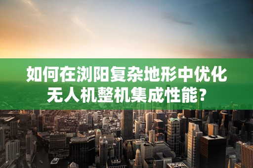 如何在浏阳复杂地形中优化无人机整机集成性能？